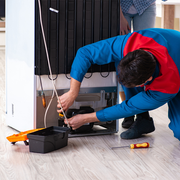 what are the common refrigerator repair services in Raymond